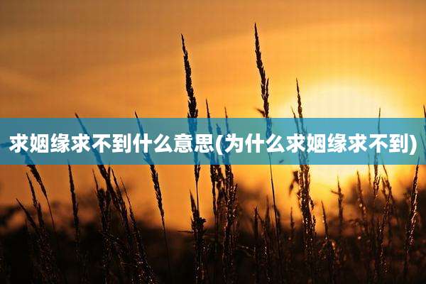 求姻缘求不到什么意思(为什么求姻缘求不到)