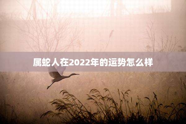 属蛇人在2022年的运势怎么样
