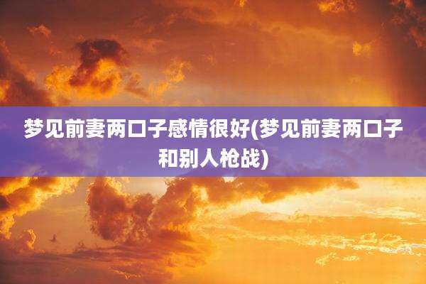 梦见前妻两口子感情很好(梦见前妻两口子和别人枪战)