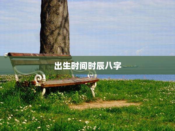 出生时间时辰八字