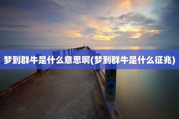梦到群牛是什么意思啊(梦到群牛是什么征兆)