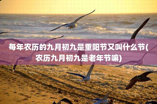 每年农历的九月初九是重阳节又叫什么节(农历九月初九是老年节嘛)