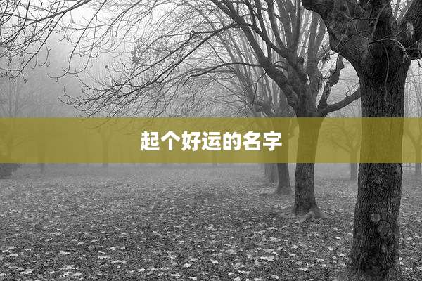 起个好运的名字