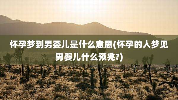 怀孕梦到男婴儿是什么意思(怀孕的人梦见男婴儿什么预兆?)