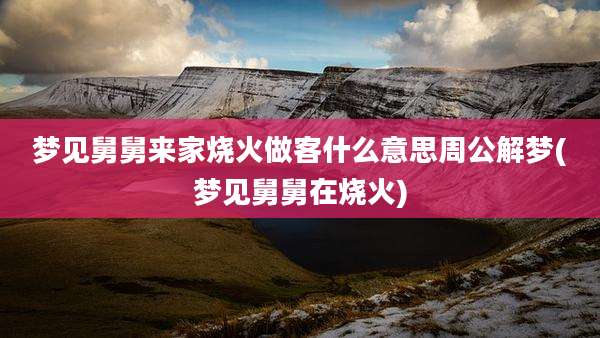 梦见舅舅来家烧火做客什么意思周公解梦(梦见舅舅在烧火)