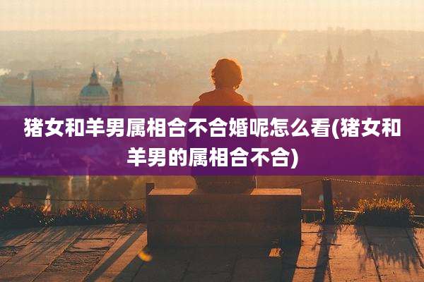 猪女和羊男属相合不合婚呢怎么看(猪女和羊男的属相合不合)