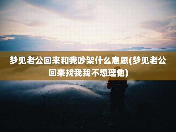 梦见老公回来和我吵架什么意思(梦见老公回来找我我不想理他)