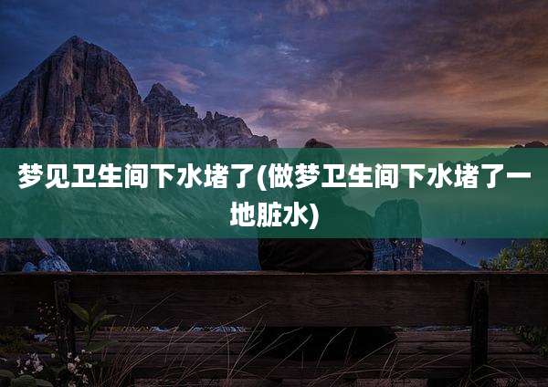 梦见卫生间下水堵了(做梦卫生间下水堵了一地脏水)