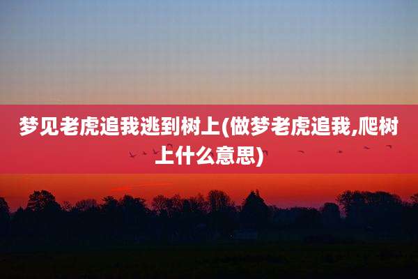 梦见老虎追我逃到树上(做梦老虎追我,爬树上什么意思)