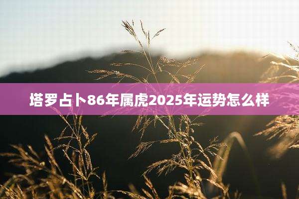 塔罗占卜86年属虎2025年运势怎么样