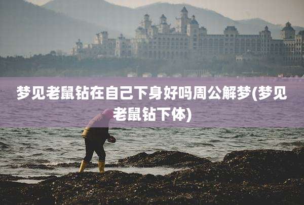 梦见老鼠钻在自己下身好吗周公解梦(梦见老鼠钻***)