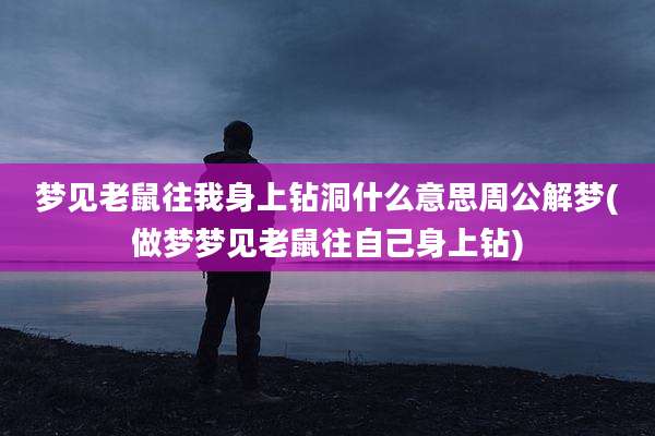梦见老鼠往我身上钻洞什么意思周公解梦(做梦梦见老鼠往自己身上钻)