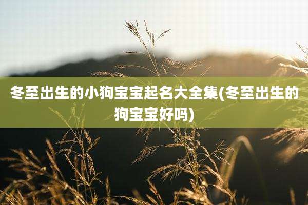 冬至出生的小狗宝宝起名大全集(冬至出生的狗宝宝好吗)