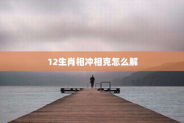 12生肖相冲相克怎么解