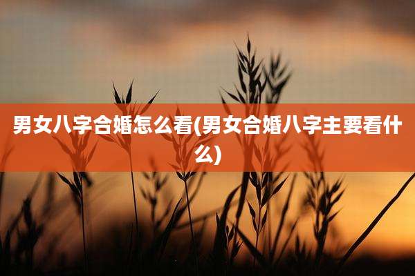 男女八字合婚怎么看(男女合婚八字主要看什么)