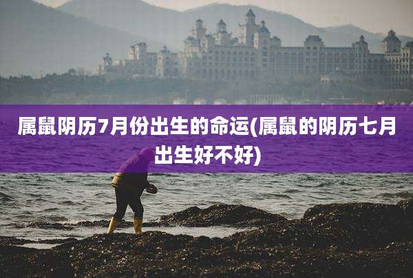 属鼠阴历7月份出生的命运(属鼠的阴历七月出生好不好)