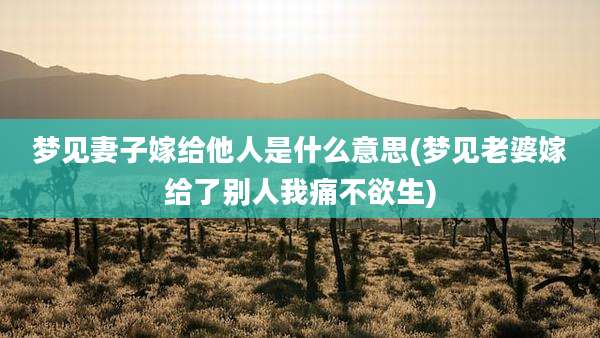 梦见妻子嫁给他人是什么意思(梦见老婆嫁给了别人我痛不欲生)
