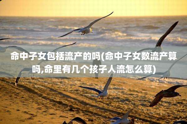 命中子女包括流产的吗(命中子女数流产算吗,命里有几个孩子人流怎么算)