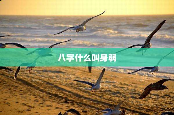 八字什么叫身弱
