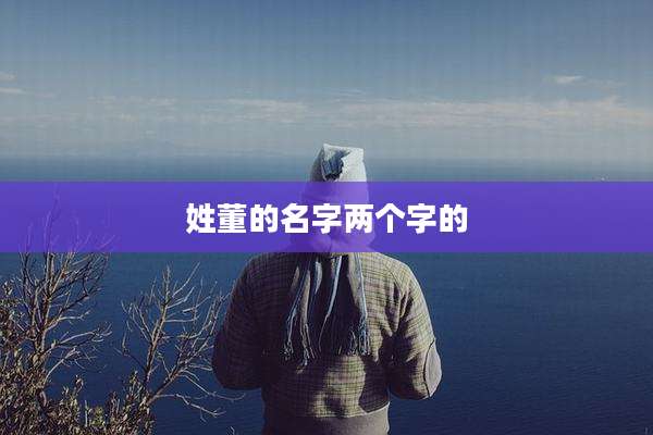 姓董的名字两个字的