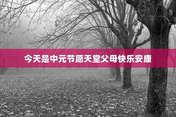 今天是中元节愿天堂父母快乐安康
