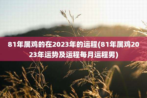 81年属鸡的在2023年的运程(81年属鸡2023年运势及运程每月运程男)