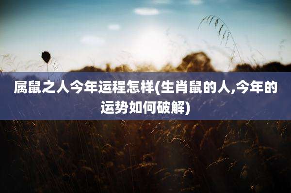 属鼠之人今年运程怎样(生肖鼠的人,今年的运势如何破解)