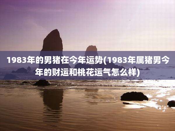 1983年的男猪在今年运势(1983年属猪男今年的财运和桃花运气怎么样)