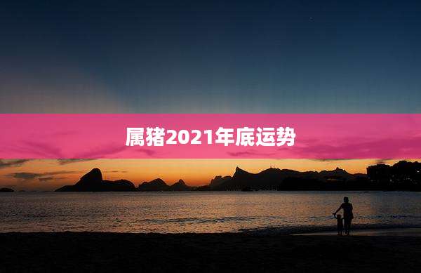 属猪2021年底运势