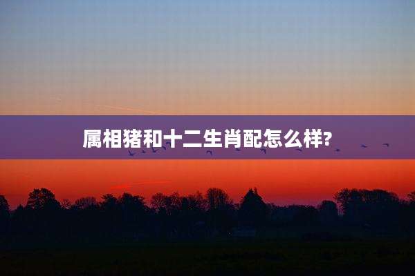 属相猪和十二生肖配怎么样?