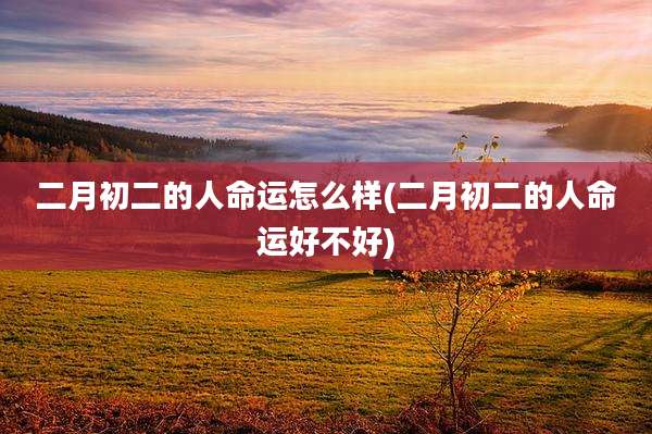 二月初二的人命运怎么样(二月初二的人命运好不好)