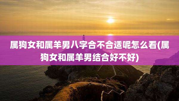 属狗女和属羊男八字合不合适呢怎么看(属狗女和属羊男结合好不好)