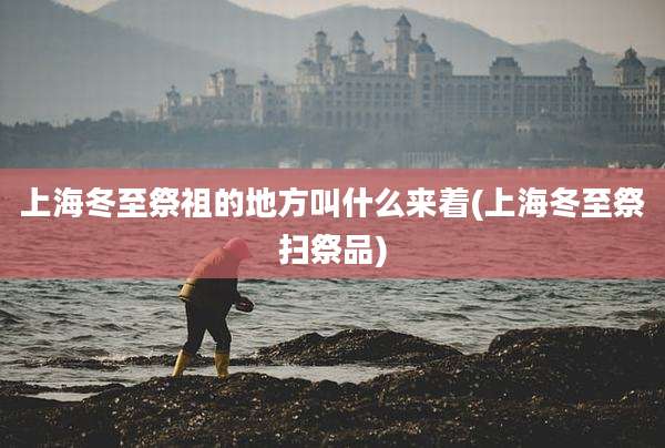 上海冬至祭祖的地方叫什么来着(上海冬至祭扫祭品)