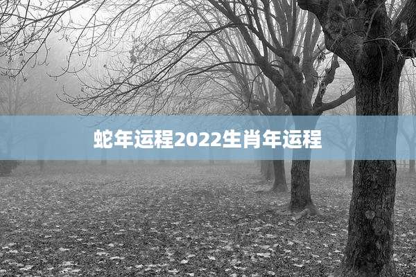 蛇年运程2022生肖年运程