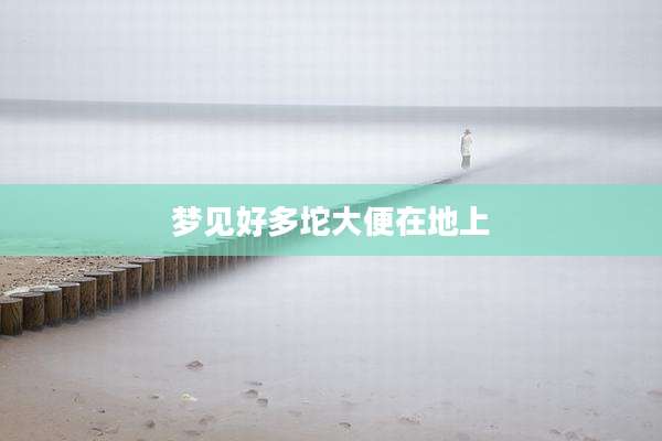 梦见好多坨大便在地上