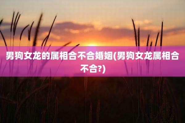 男狗女龙的属相合不合婚姻(男狗女龙属相合不合?)