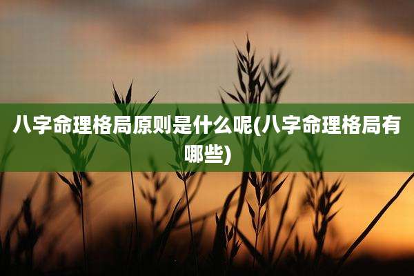 八字命理格局原则是什么呢(八字命理格局有哪些)