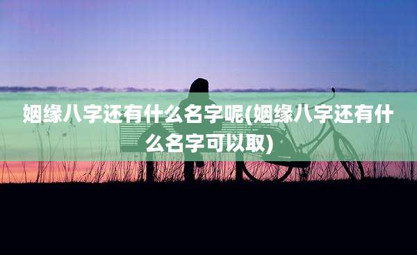 姻缘八字还有什么名字呢(姻缘八字还有什么名字可以取)