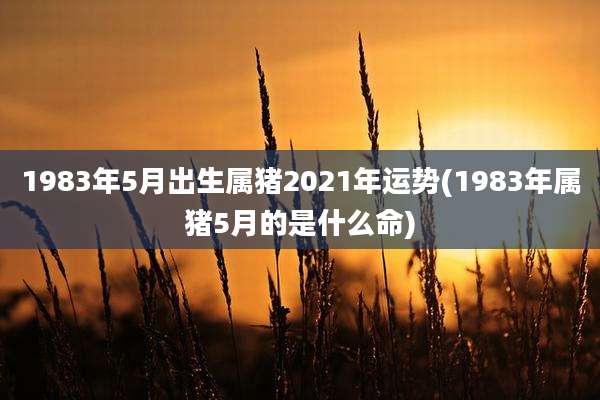 1983年5月出生属猪2021年运势(1983年属猪5月的是什么命)