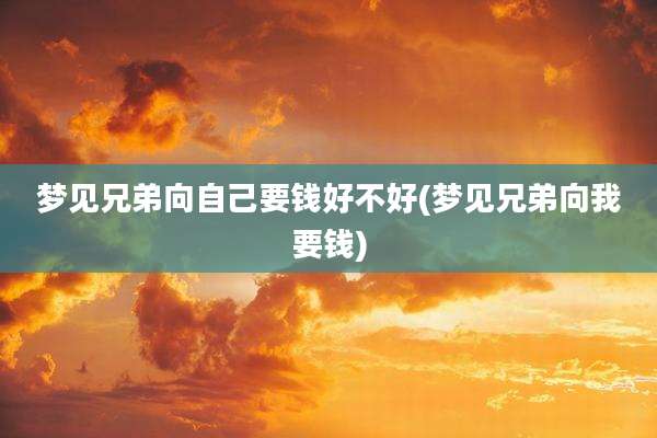 梦见兄弟向自己要钱好不好(梦见兄弟向我要钱)