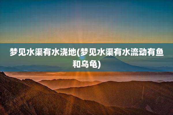梦见水渠有水浇地(梦见水渠有水流动有鱼和乌龟)
