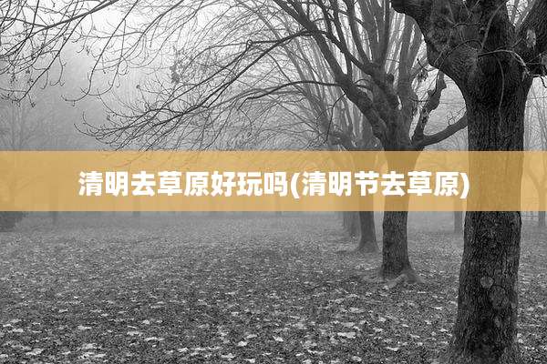 清明去草原好玩吗(清明节去草原)