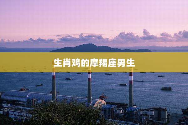 生肖鸡的摩羯座男生