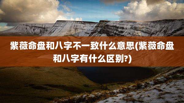 紫薇命盘和八字不一致什么意思(紫薇命盘和八字有什么区别?)
