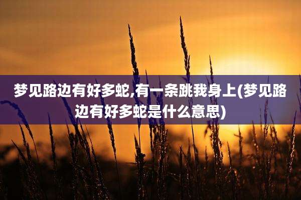 梦见路边有好多蛇,有一条跳我身上(梦见路边有好多蛇是什么意思)