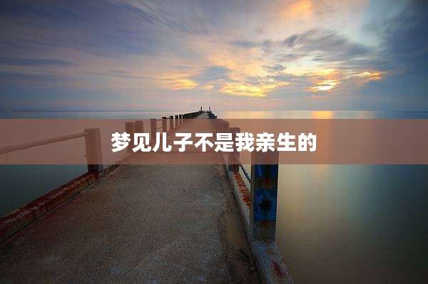 梦见儿子不是我亲生的