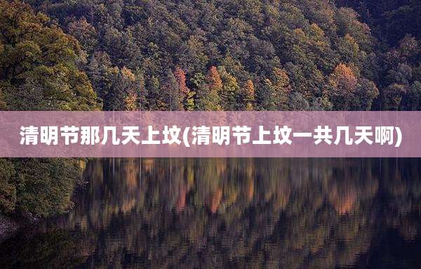 清明节那几天上坟(清明节上坟一共几天啊)