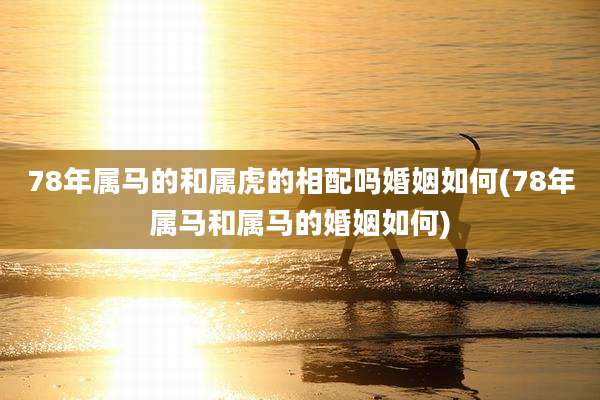 78年属马的和属虎的相配吗婚姻如何(78年属马和属马的婚姻如何)