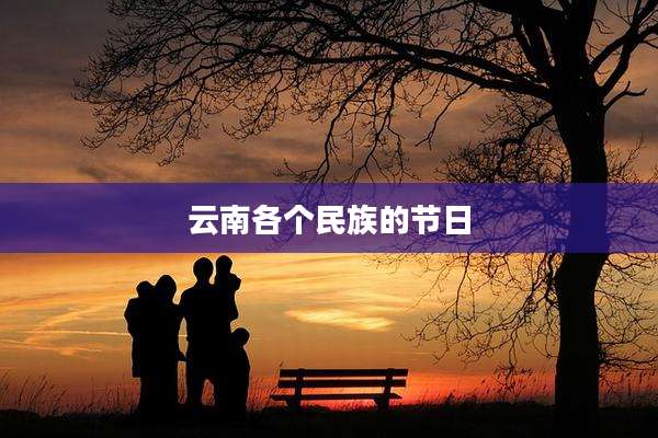 云南各个民族的节日