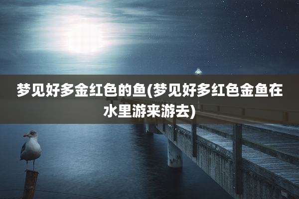 梦见好多金红色的鱼(梦见好多红色金鱼在水里游来游去)